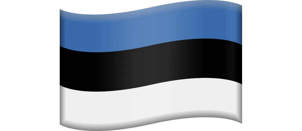 SEO копирайтинг на эстонском
